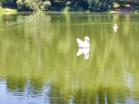 Issoire Plan d'eau Mas 10.jpg